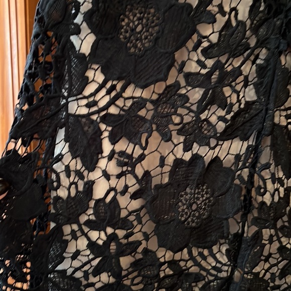 LACE  DRESS - Picture 6 of 7